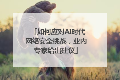 如何应对AI时代网络安全挑战，业内专家给出建议